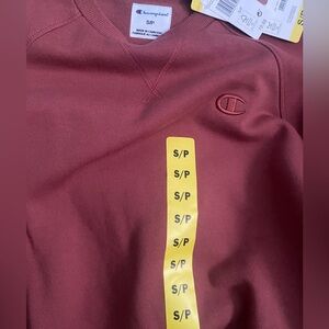 champion hoodie/sweatshirt